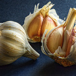 garlic